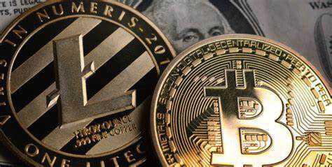 驻乳源瑶族自治县一六镇帮镇扶村工作队组织推进天文观测科普教育系列活动