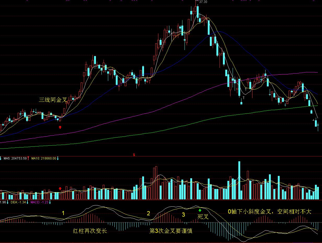 江西省市场监管局召开全省市场监管系统打击整治养老诈骗专项行动工作推进会